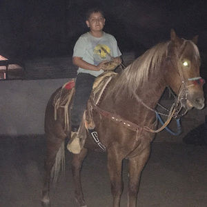 Meet your Posher, Oscar